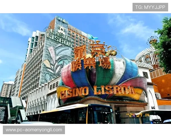 澳门各大赌场的完整名单及其背后的历史故事,助你深入了解澳门博彩业的辉煌 澳门各大赌场的完整名单及其背后的历史故事,助你深入了解澳门博彩业的辉煌