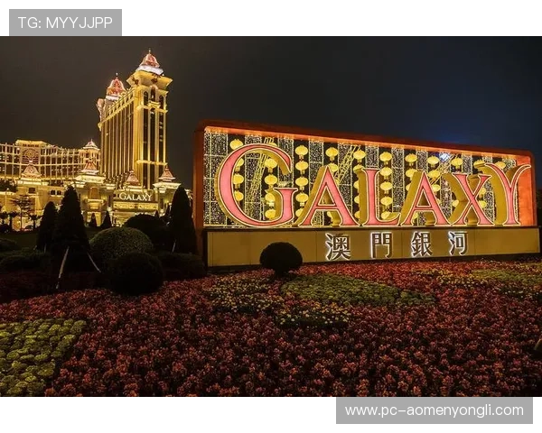 澳门娱乐网站2024年度最新排行榜及用户最喜爱的平台推荐