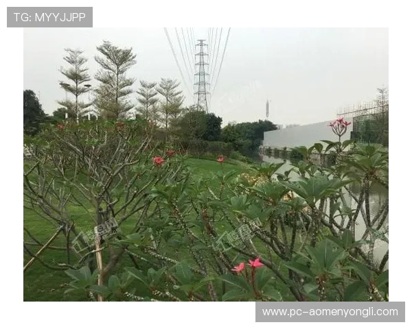 想知道澳门金碧汇彩的准确位置和附近的交通便利设施，全面指南帮你解答