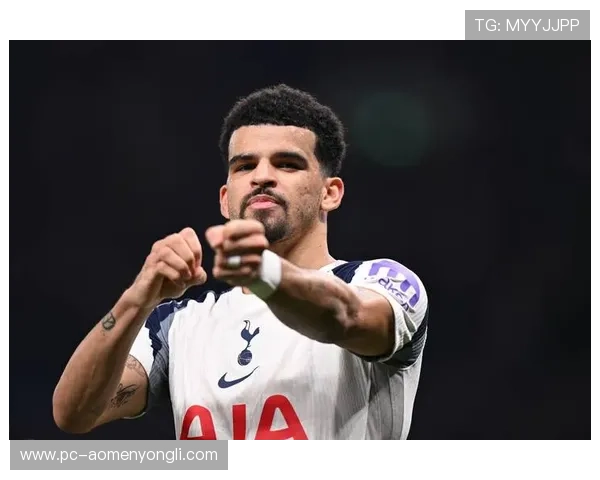 水晶宫队最新战绩分析与未来赛季展望，助你全面了解球队实力变化