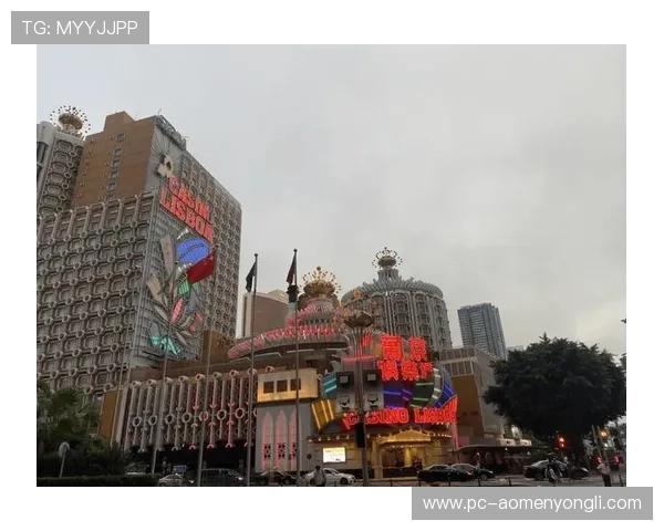 澳门十大顶级赌场的独特魅力，揭秘豪华环境、丰富游戏和优质服务背后的秘密