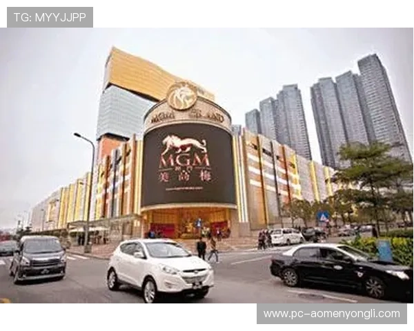 澳门美高梅官网注册成功后如何快速激活账号及享受丰富游戏体验