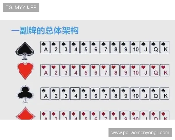 新濠博亚澳门副牌的游戏种类与玩法介绍满足不同玩家的多样需求